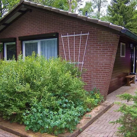 Vakantiehuis De Buizerd - Vakantiehuis Achterhoek * Winterswijk