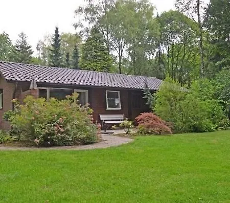 Vakantiehuis De Buizerd - Vakantiehuis Achterhoek